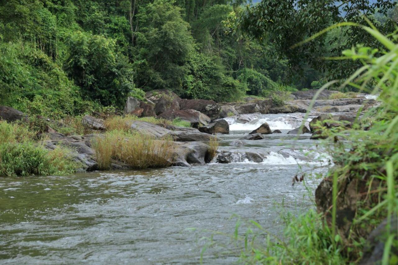 Ayursakthi Riverdale Munnar Eksteriør bilde