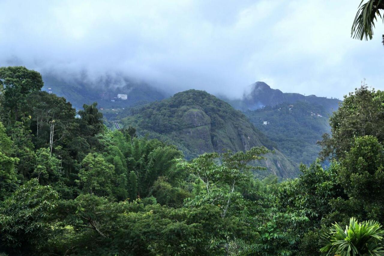 Ayursakthi Riverdale Munnar Eksteriør bilde