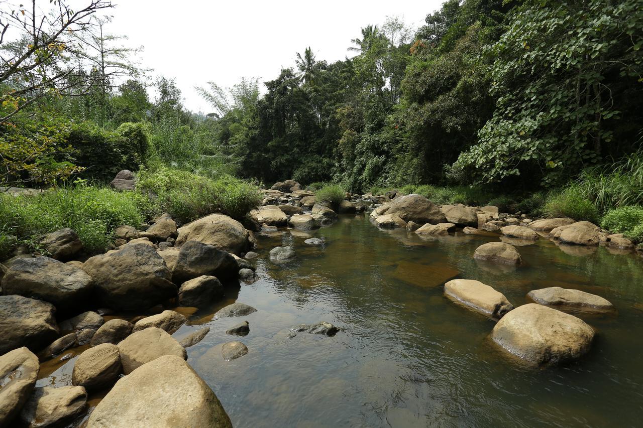 Ayursakthi Riverdale Munnar Eksteriør bilde