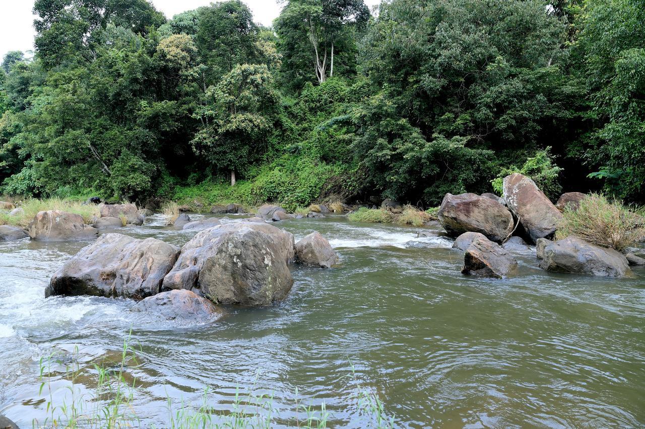 Ayursakthi Riverdale Munnar Eksteriør bilde