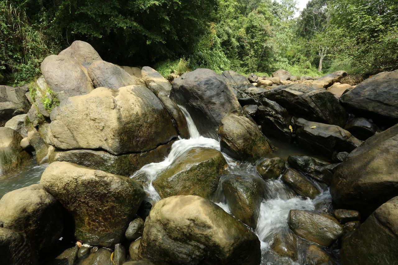 Ayursakthi Riverdale Munnar Eksteriør bilde